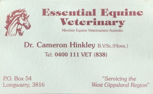 Essential Equine Veterinary